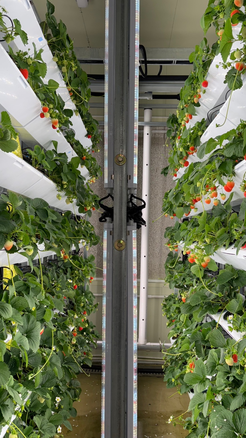 엠씨에이치 본사 시설